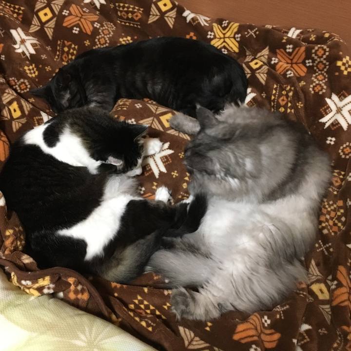 5b277f8c a060 4cab a209 f987c57d1b6b 1555684406306