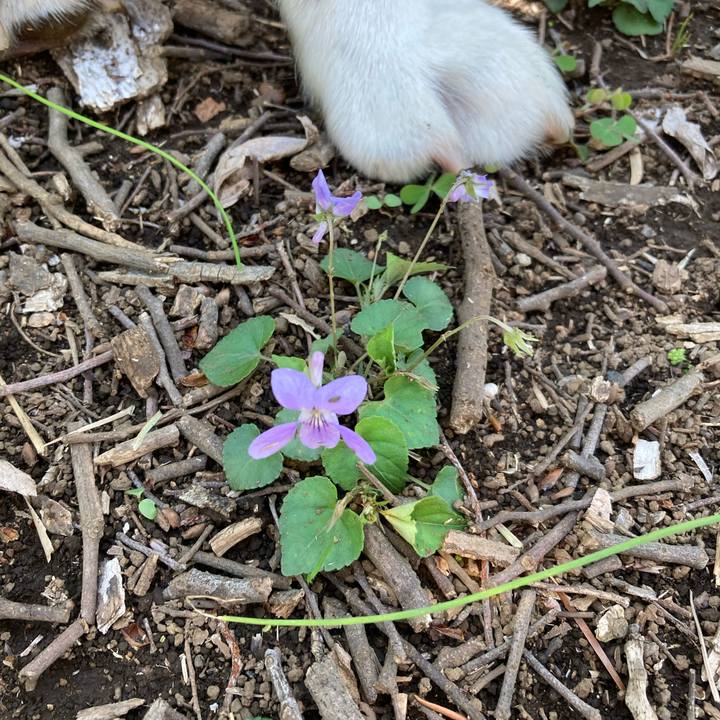 5b2780b9 c7d9 4144 b00e d533966bfa9d 1712884270286