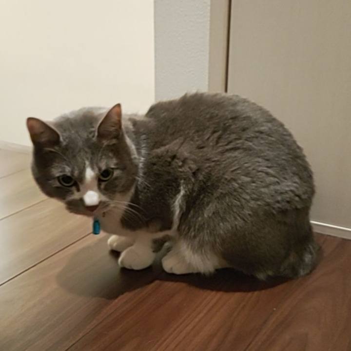 5b278c80 4955 4458 98f3 3ce8ad2086e4 1675201133585