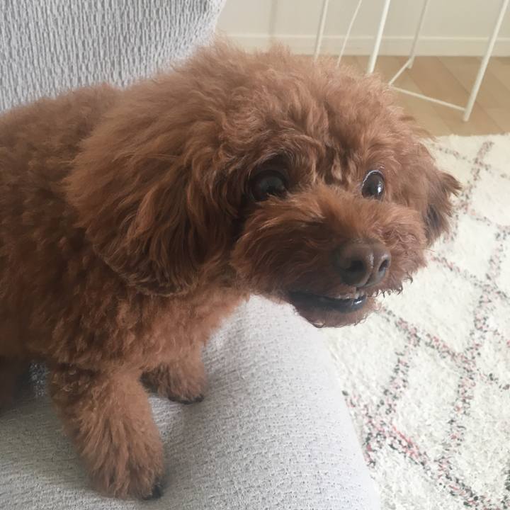 5b2790fc a557 47df be3a ede44424f20f 1529287614957