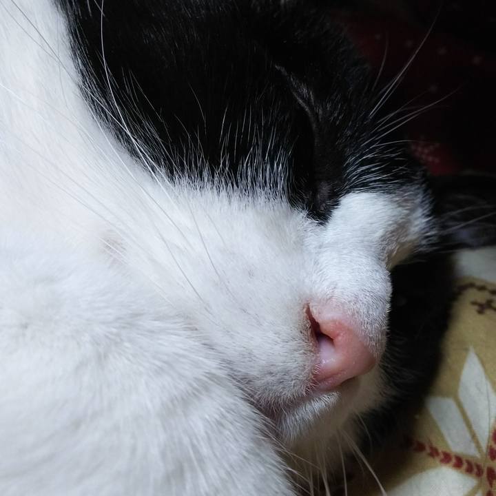 5b27a795 9ebc 4639 9f1c 7876e1c80b5d 1552096294184