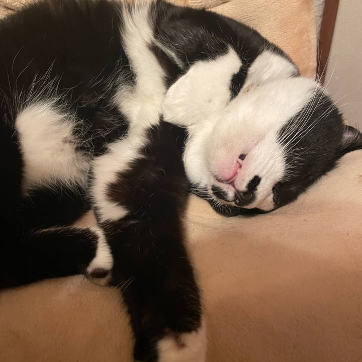 5b27c1d3 3936 4857 9bb2 6226e2cccc0c 1731679575204