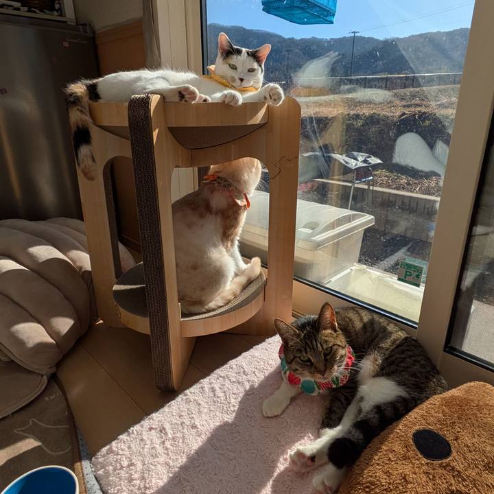 5b27ed9b 0ed1 4992 acae d751f7df665d 1735696984532