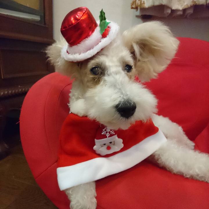 5b27fd1c ce14 4365 829c 0ec3743f6ed9 1608766562463