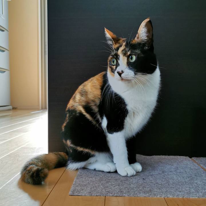 5b280fe6 fc1e 4385 9a32 cea045d5750f 1637458466862