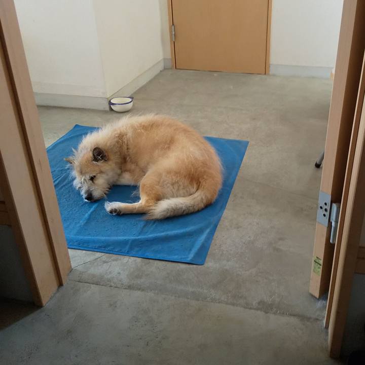 5b282322 6ab2 4b02 a210 8a76464fa481 1570510626823