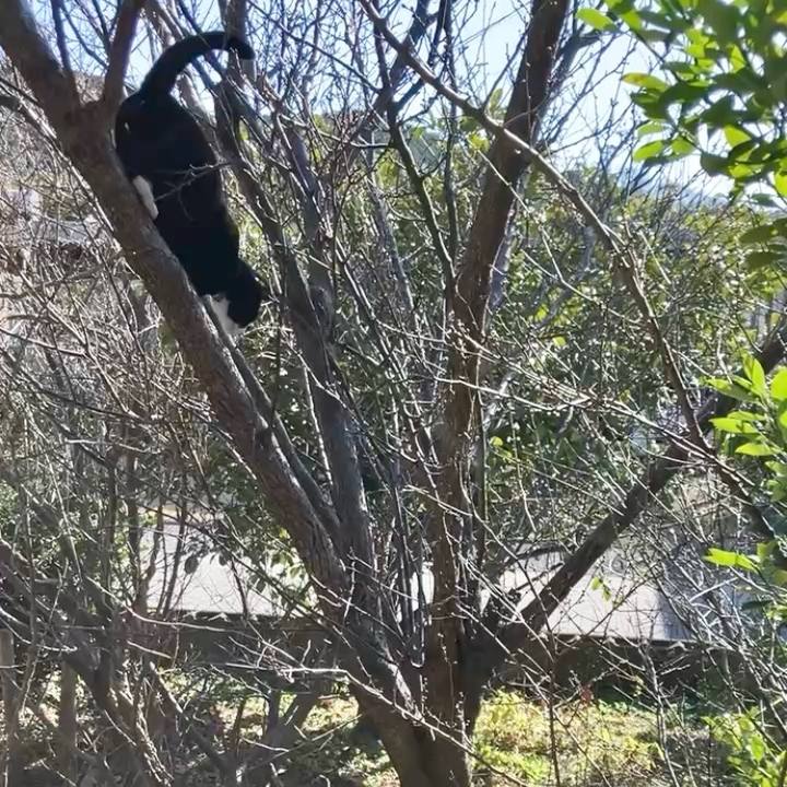 5b284549 11a5 43c9 98c5 f2327b03f8e8 1737890415387