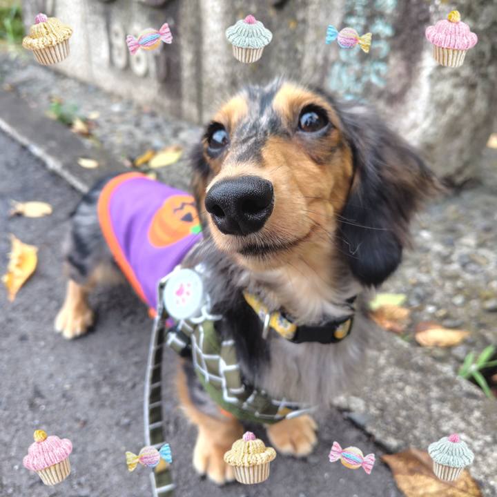 5b286130 ed74 4863 bf4b d912a9fbd169 1728209630484