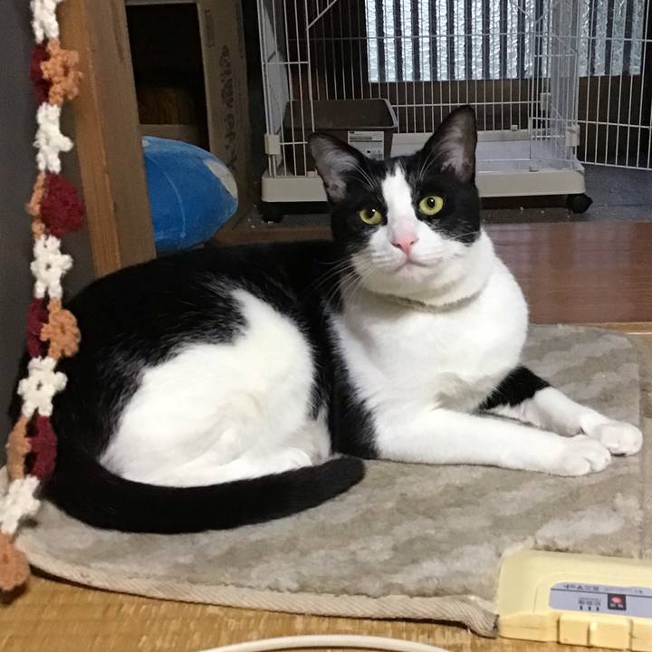 5b28731e 5632 4c58 aaee e0b6773e0c5a 1655113073251