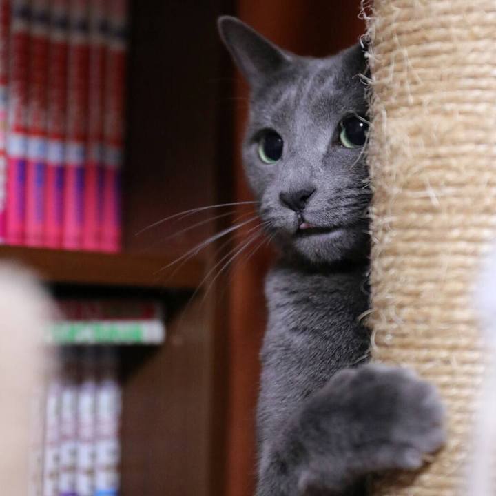 5b288093 56dd 43a3 b4d5 2cc0e2119839 1546824330858