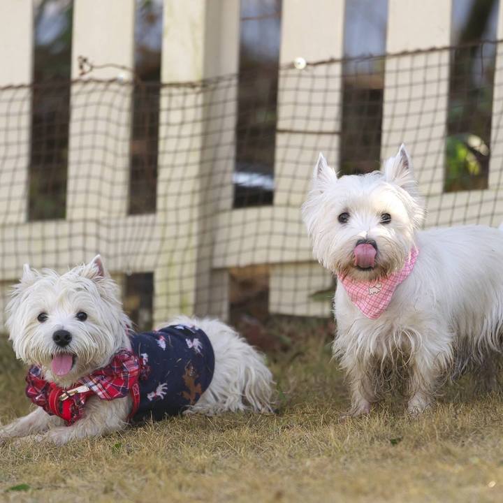 5b289224 fd87 4c79 8160 ca9678090883 1515328754632