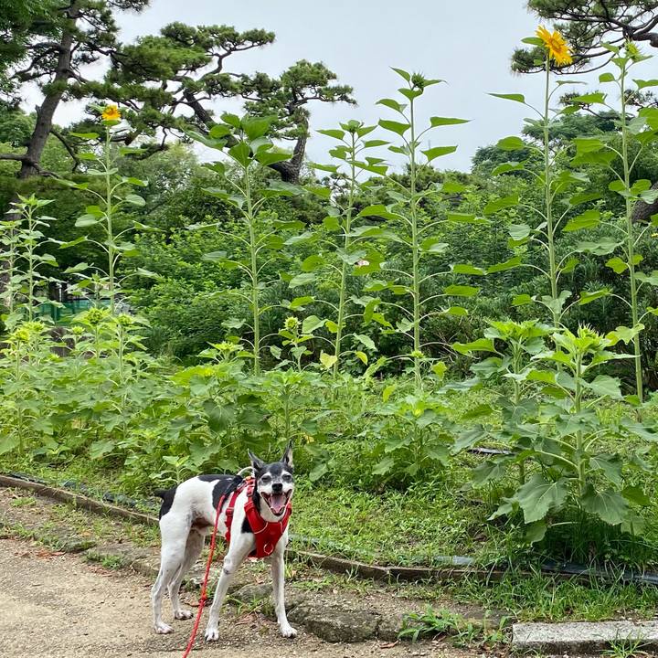 5b28c42c b648 4816 9b9f b32c81dcacd8 1625359748219