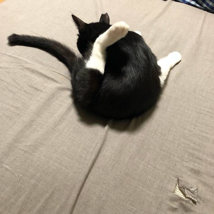 5b28d511 2a2c 4370 a4f5 979640ecdd9f 1531878829003