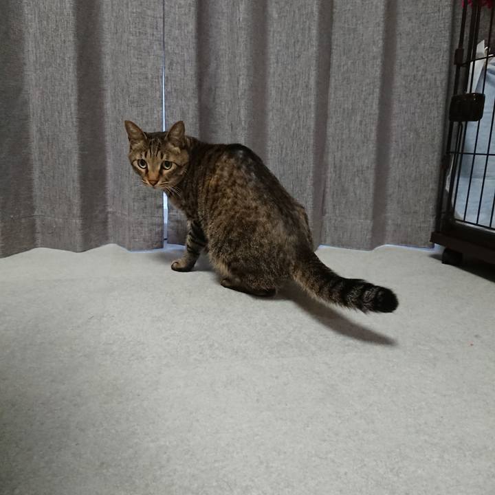 5b28dd81 1490 4263 aadb 3d801183a422 1570859956250