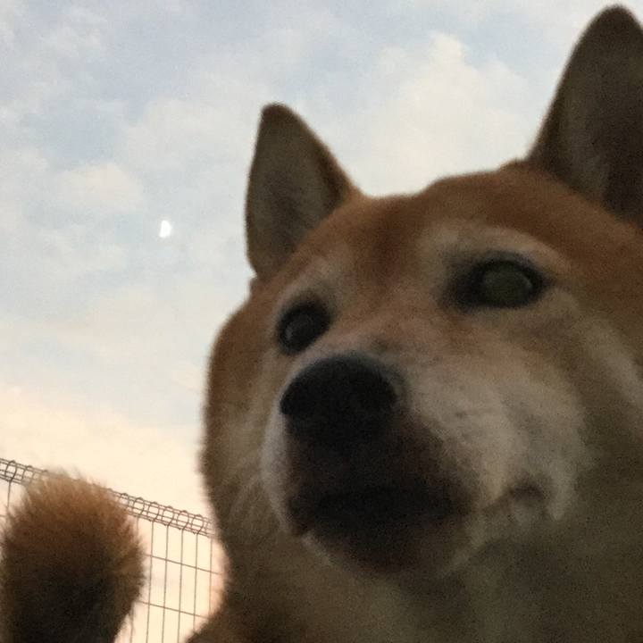 5b291559 c2cf 4103 8d80 76192708d0e8 1570266512664