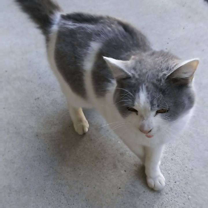 5b29165d 51f0 4134 9cba 6f7f77c0ea32 1518338470665