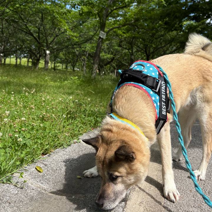 5b296c5c 344e 4966 adbc ac878539d1d8 1748171264826