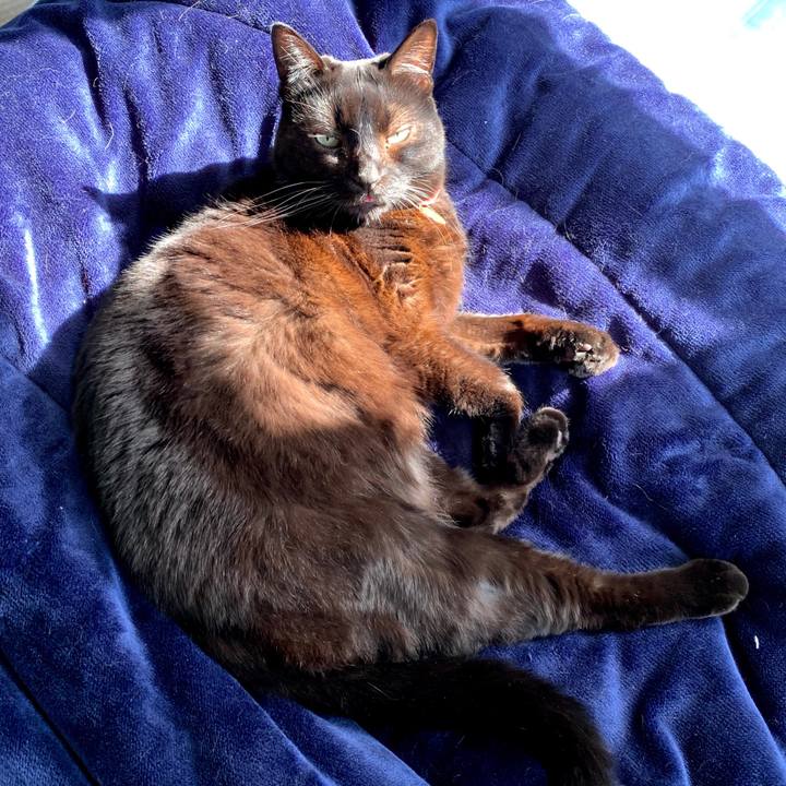 5b298b86 eb7d 4b78 aefb 5c18a45a0301 1582722974436