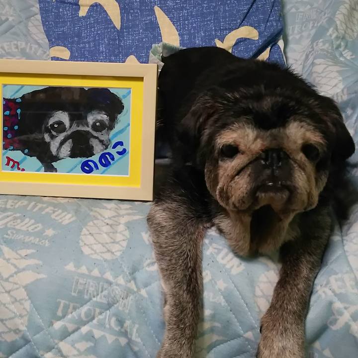 5b298eaa 562a 4cff 8d59 b3fa54609843 1560820162978