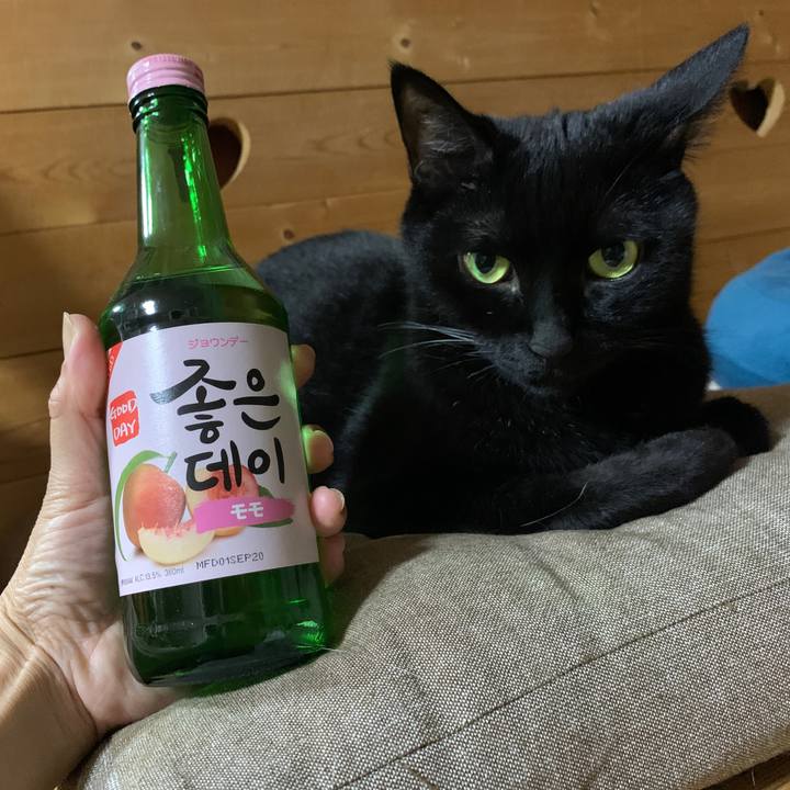 5b29d5b5 b908 4dfe 9a5c 525f0e8b7d20 1658413092131