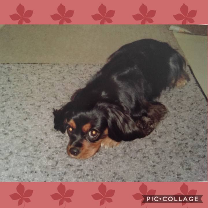 5b29d6a9 f3c0 428b b101 1b6cb1e170d9 1541651747526