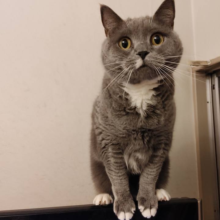 5b29e6e2 ba3c 4659 8d55 eb2c879f2db7 1602195502253