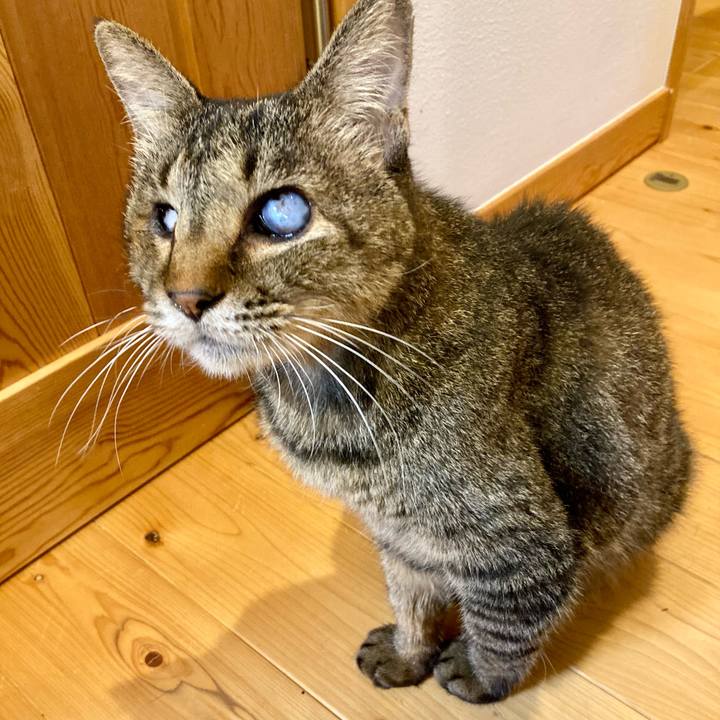 5b29fd93 2932 41bf 9cfe 6caf38f2b8eb 1664698643131