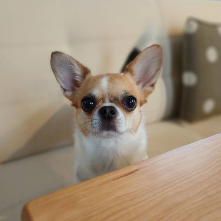 5b2a0b22 da8c 4033 9105 0ce34c4f8b7b 1624865818982