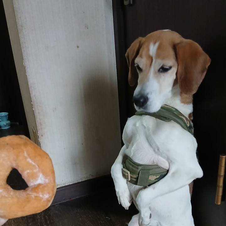 5b2a0b63 74a2 4db9 a806 06403a1e2628 1769317133610