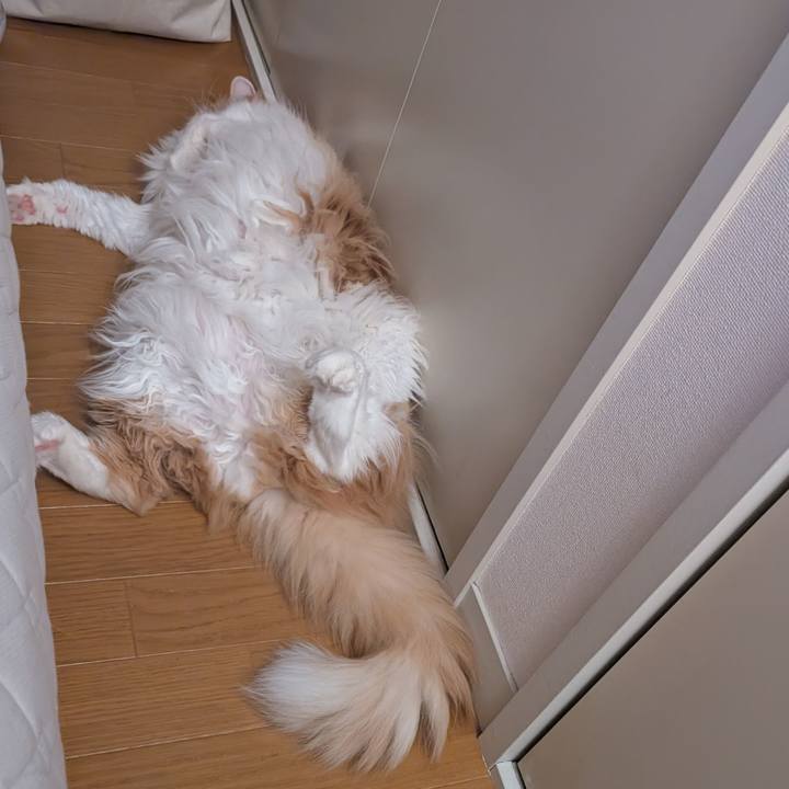 5b2a0ea9 f365 48b9 9b37 c7ad4a73e54e 1751029956234