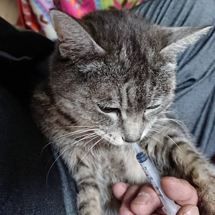 5b2a6e43 3f28 4864 b662 2327bacbeb65 1584482086843