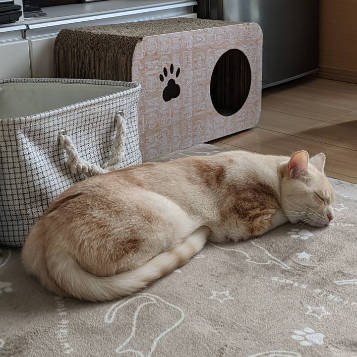 5b2a84eb ad93 42f5 84f8 7d3951279141 1699489133668