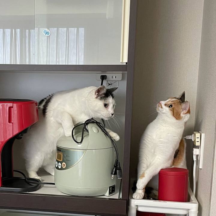 5b2a9e8b 3435 4605 9bad 12ecb2a34741 1609388155226