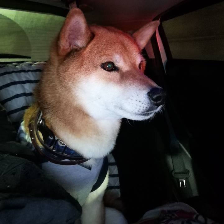 5b2aa7df 8e0d 4baf a3d8 601440dd5fea 1584790394489