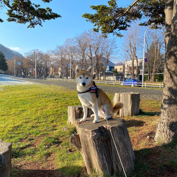 5b2aab7e 54c5 4591 820f 519d95351ebe 1701855722065