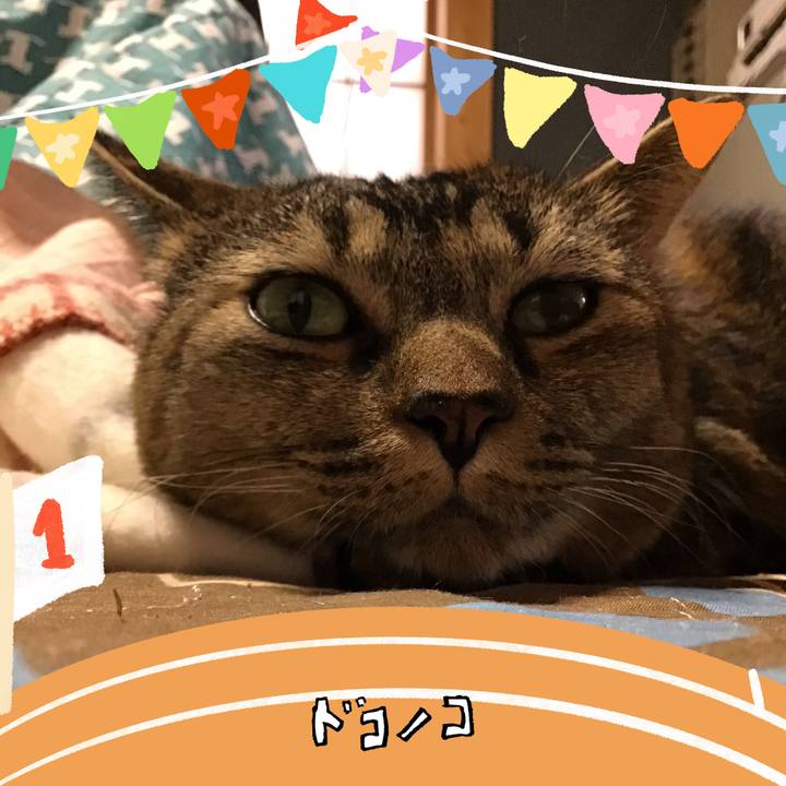 5b2ab0d7 ccd7 477b a683 b64c5836fd1e 1761364783374