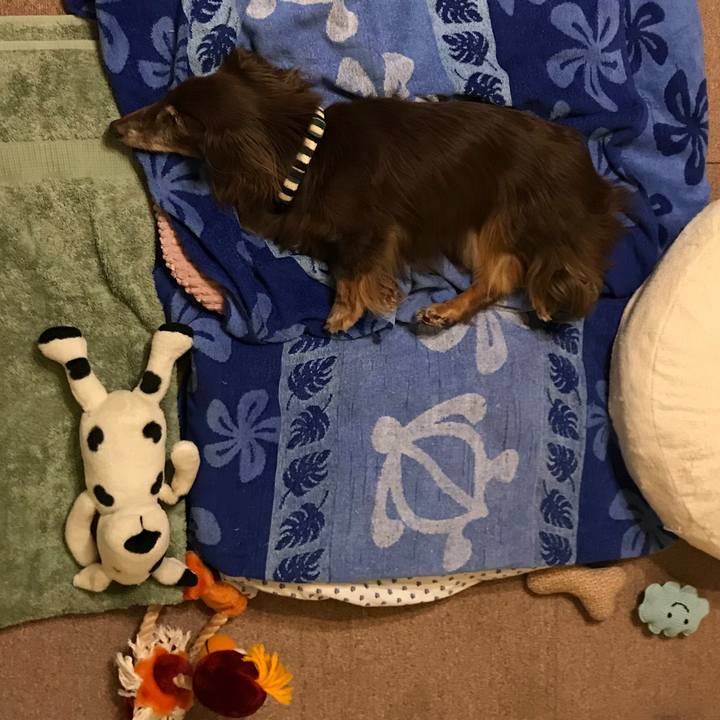 5b2ab181 6100 406b 9f32 c86805860d5b 1598804378000