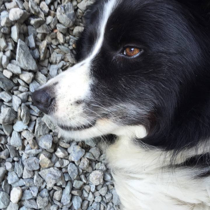 5b2ac5b6 f854 453a ac2d c085417735b1 1533168578573