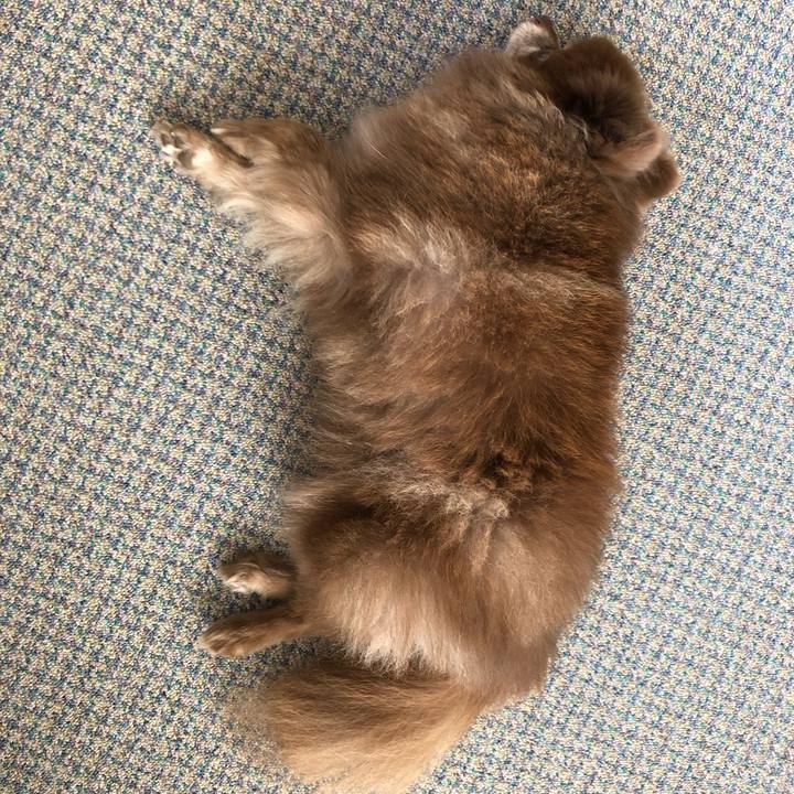 5b2ae8af 977c 4dc8 9423 84590743c015 1561083738400