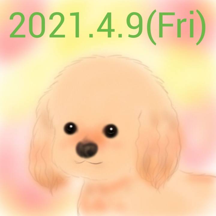 5b2b20ef 7cc0 4e56 ae1e 94ca5e65a649 1617971054712