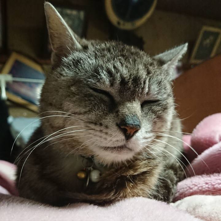 5b2b45ec 5eed 436f a729 e9bba9919b6e 1560424169896