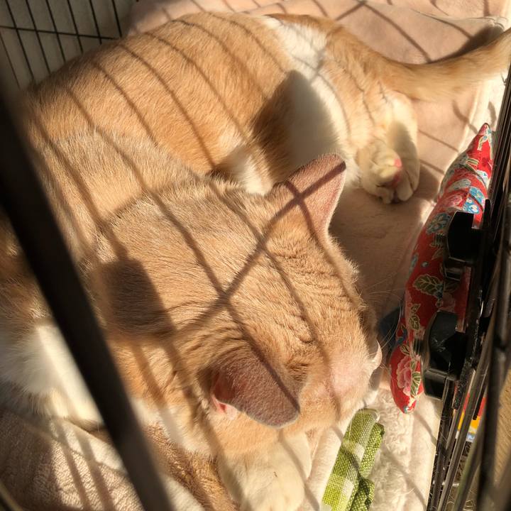 5b2b571d c6bf 4d44 a3cf 6fc82f0b2015 1613869193366