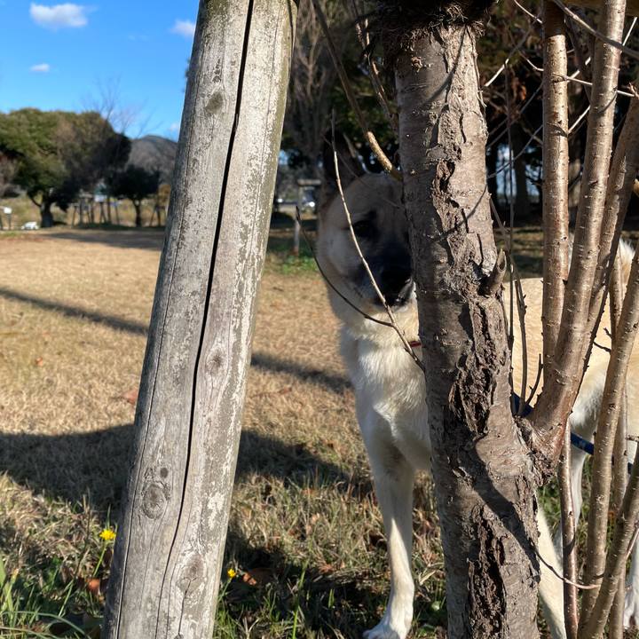 5b2b70e6 9eae 4ff5 b24a 7f39d42b5895 1638620344141