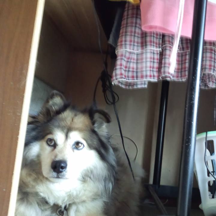 5b2ba25e 1ea9 460d a302 4ff282020e02 1596245737194