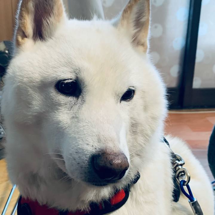 5b2bbe3b c1da 48ab 8048 a56849b7ccaa 1641427410249