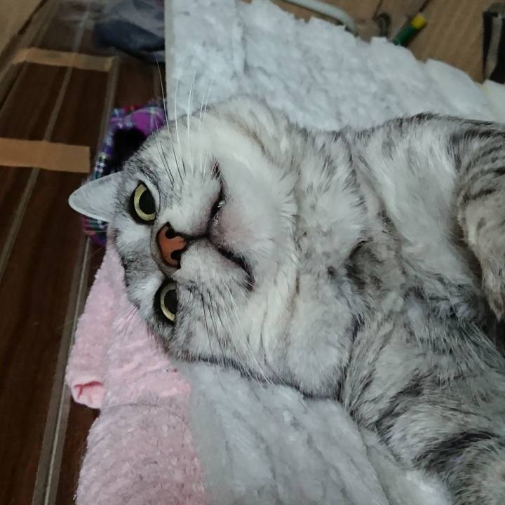 5b2bc045 e261 438e 81cd 53a9da577111 1549277516241