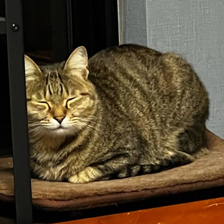 5b2bf4c7 7f79 4ddd 83e6 c1c4fb822ee7 1765462376195