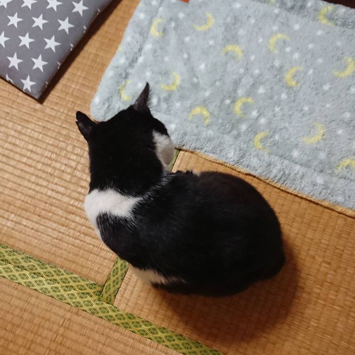 5b2c2f63 ca5b 49c0 916d 31d1956d76b7 1540250268575