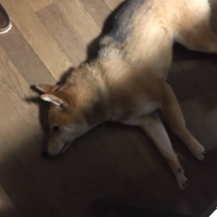 5b2c3741 50bb 41dd b542 b9a349d78de9 1596287485434