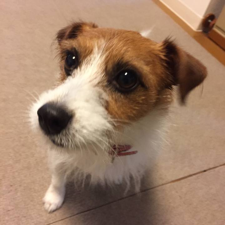 5b2c6b0b 359a 4b0b 854a cf30f1c25f38 1509422921324